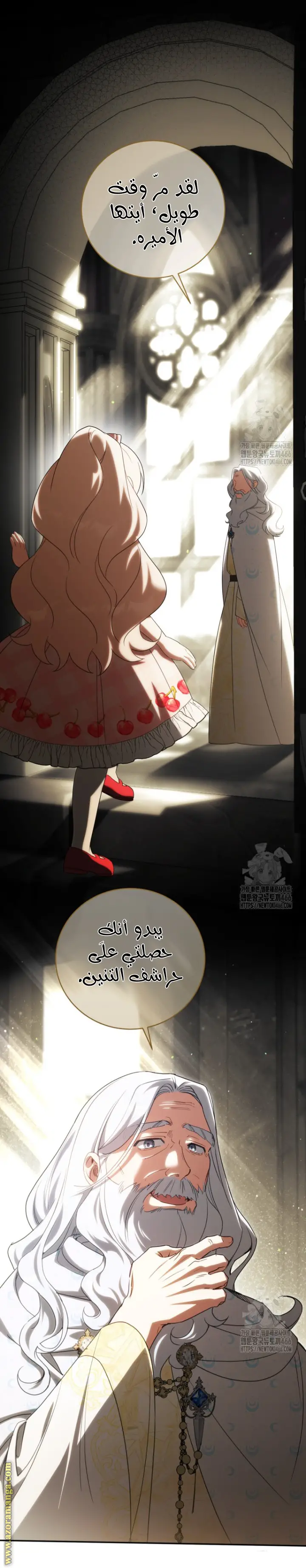 الصفحة 25