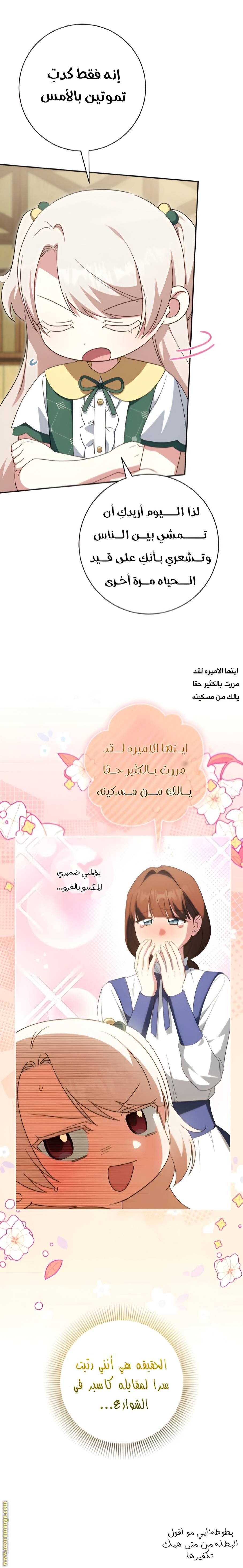 الصفحة 8