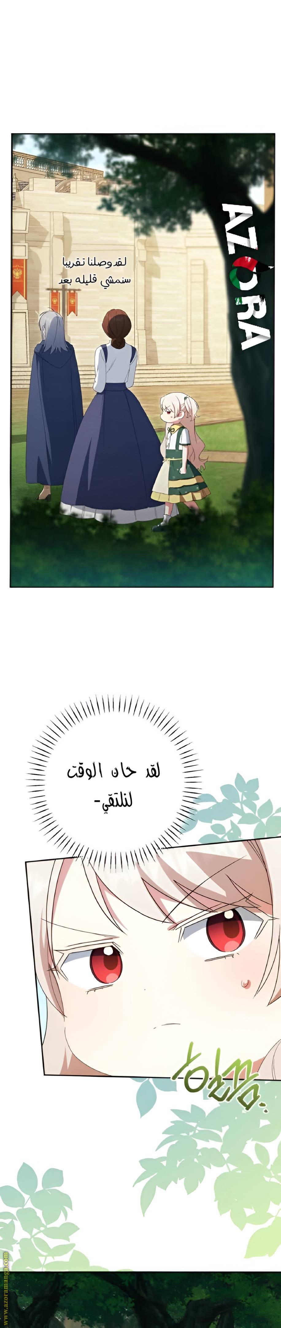 الصفحة 12