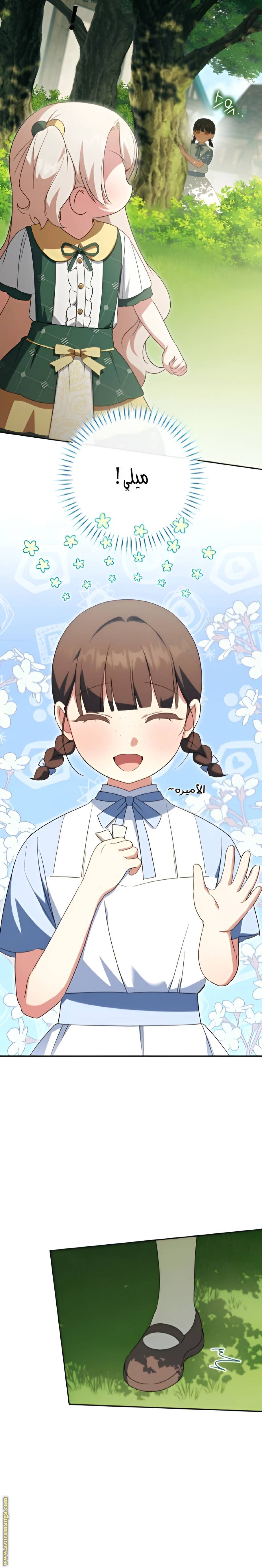 الصفحة 13