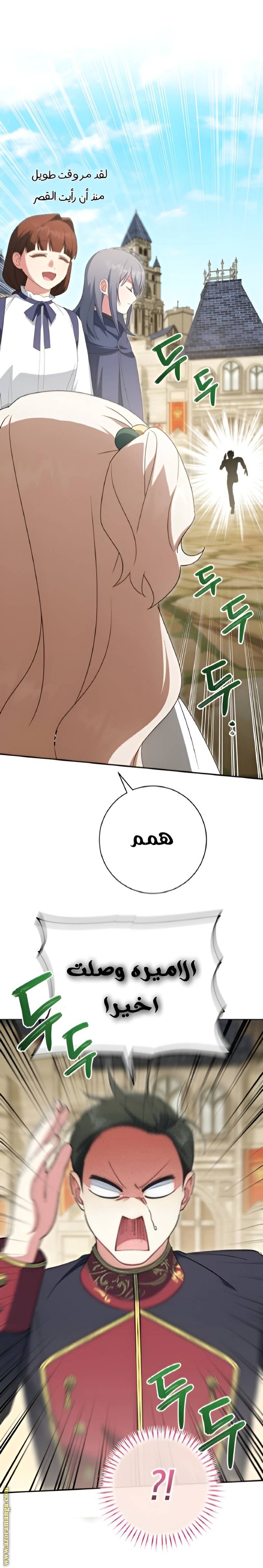 الصفحة 17