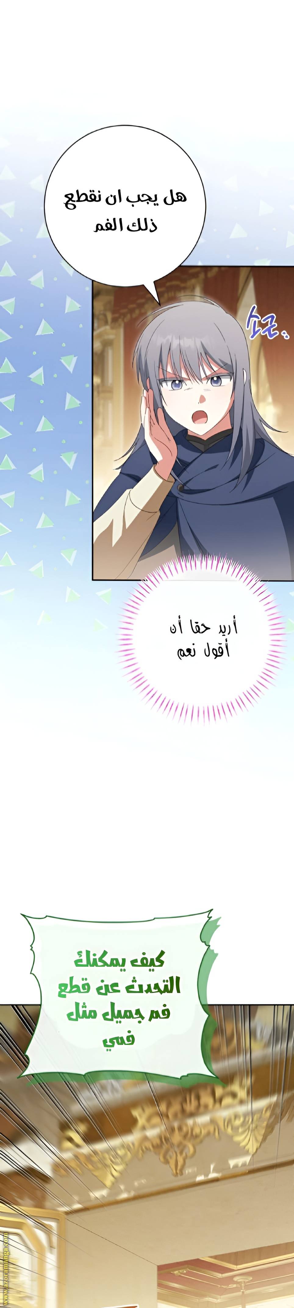 الصفحة 21