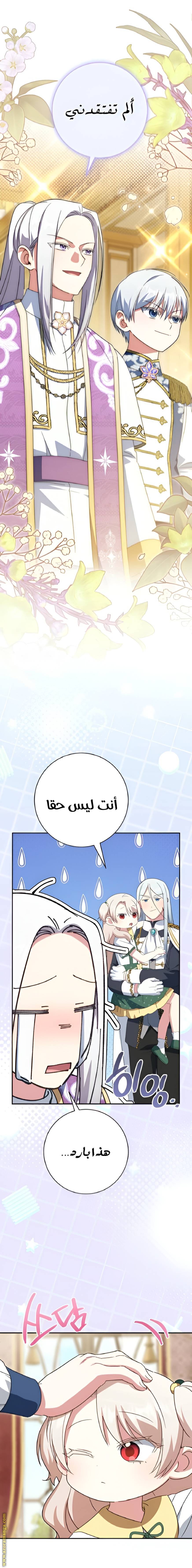 الصفحة 26