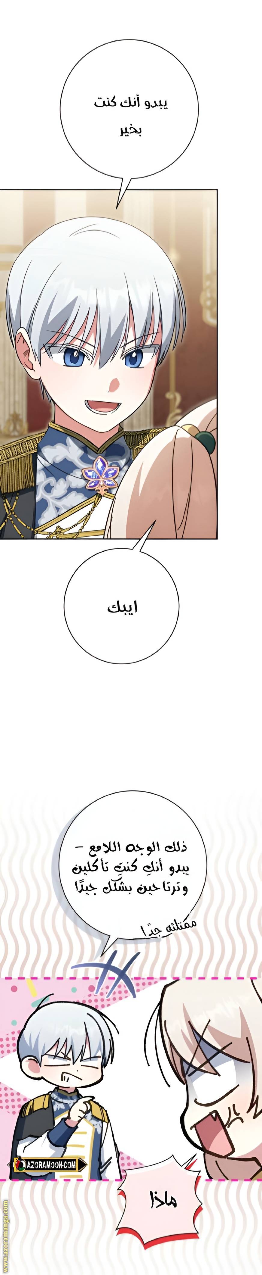 الصفحة 27