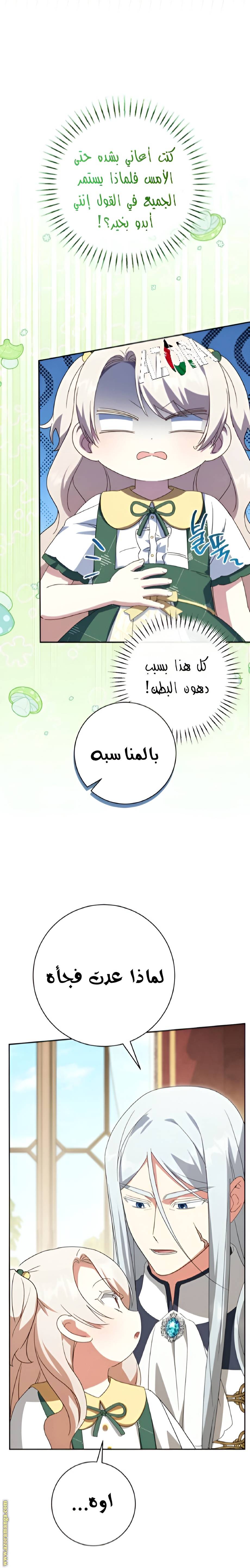 الصفحة 28