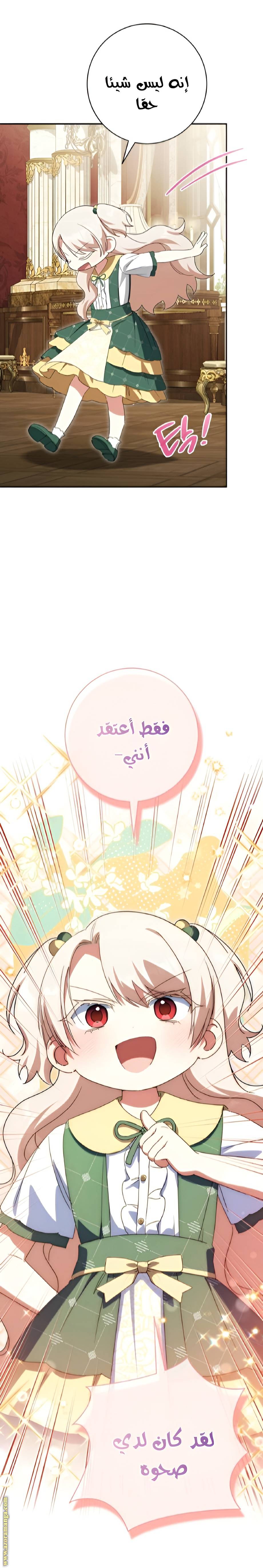 الصفحة 29