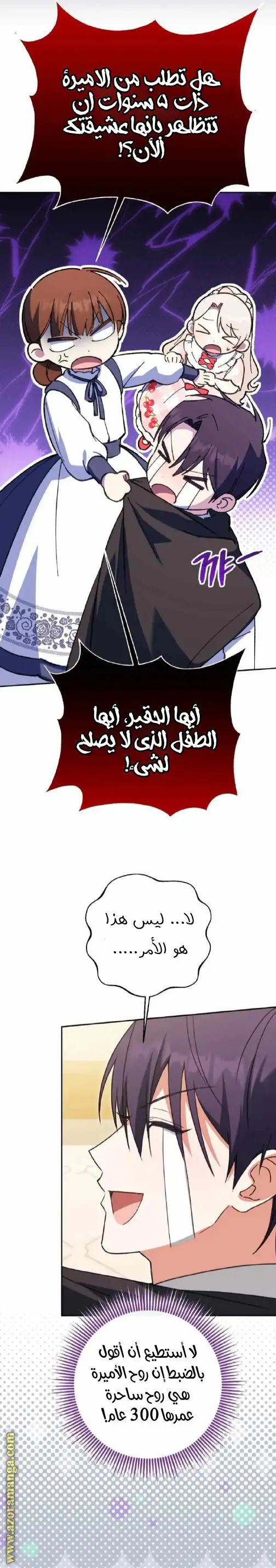 الصفحة 17