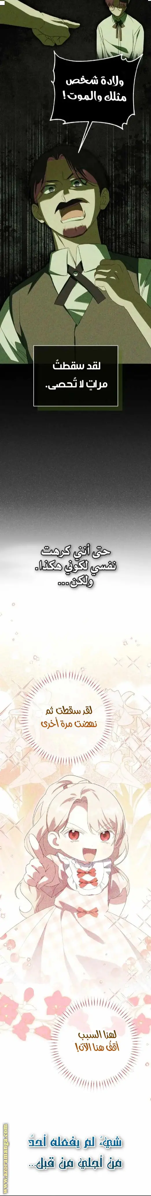 الصفحة 24