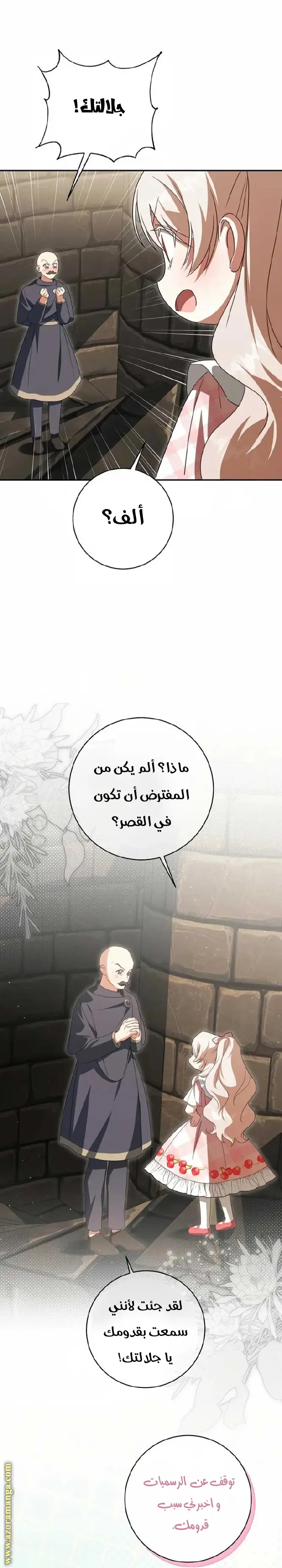 الصفحة 17