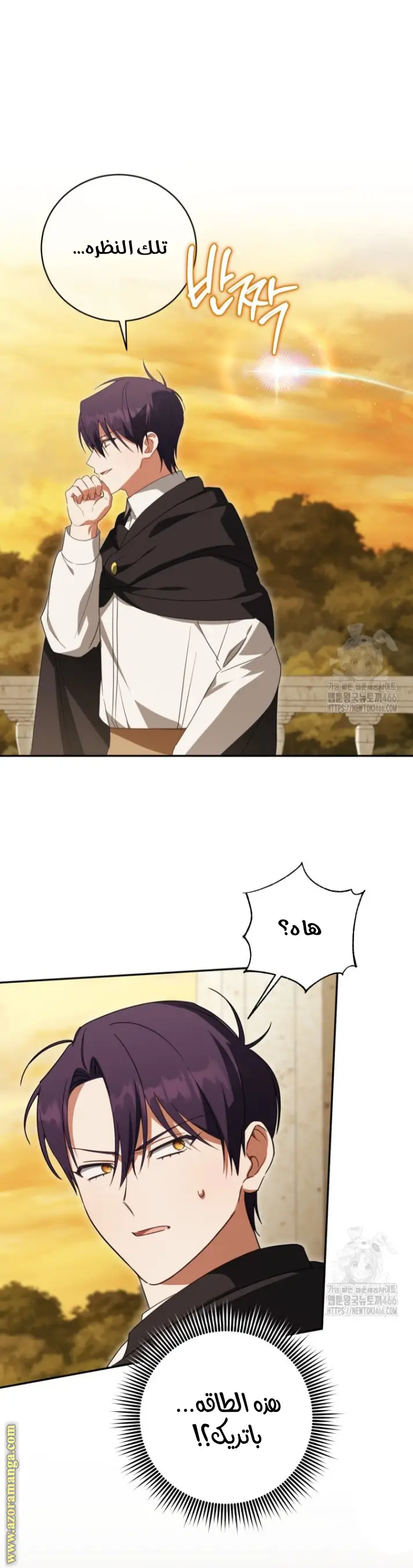الصفحة 17