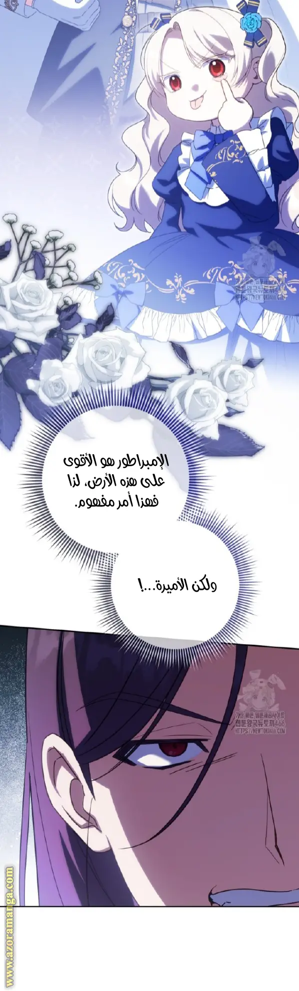 الصفحة 29