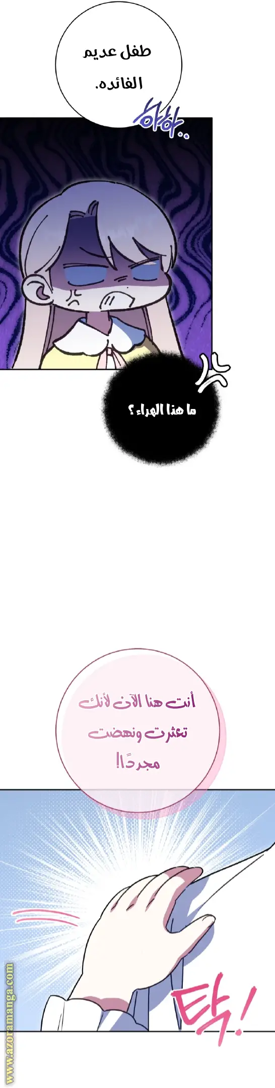 الصفحة 13