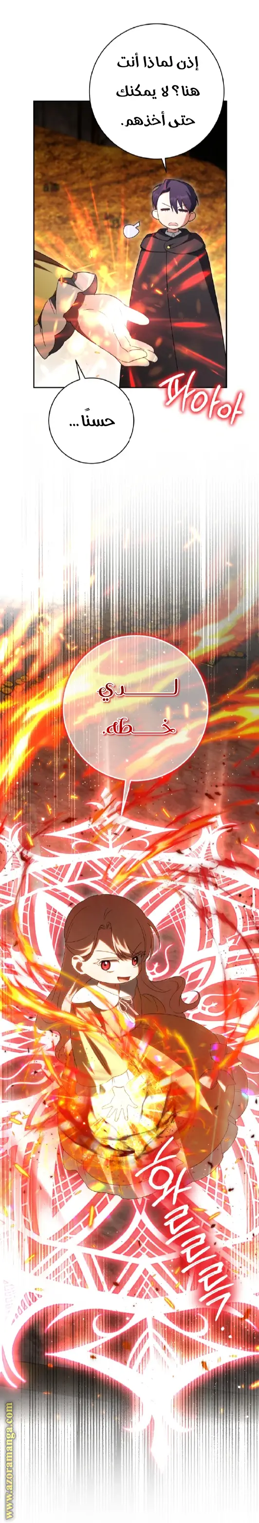 الصفحة 26