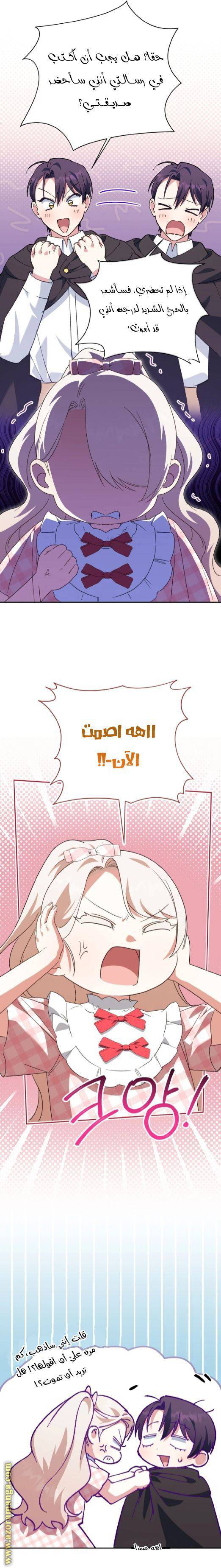 الصفحة 13