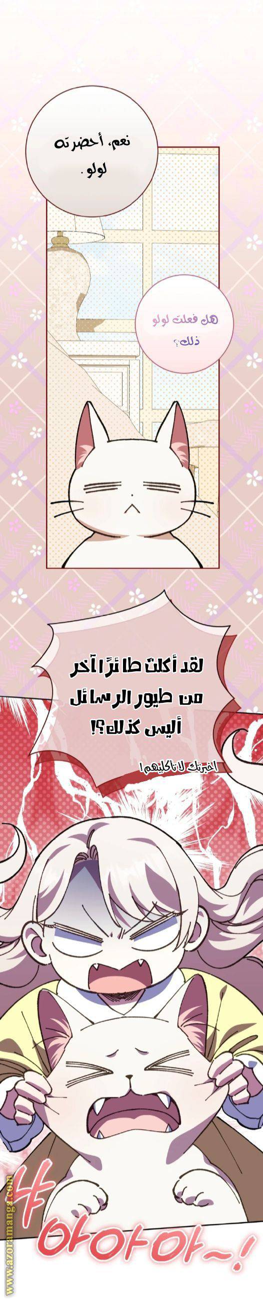 الصفحة 26