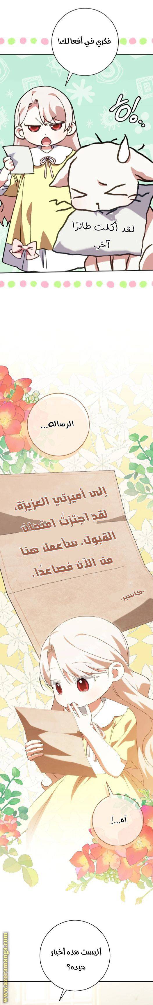 الصفحة 27