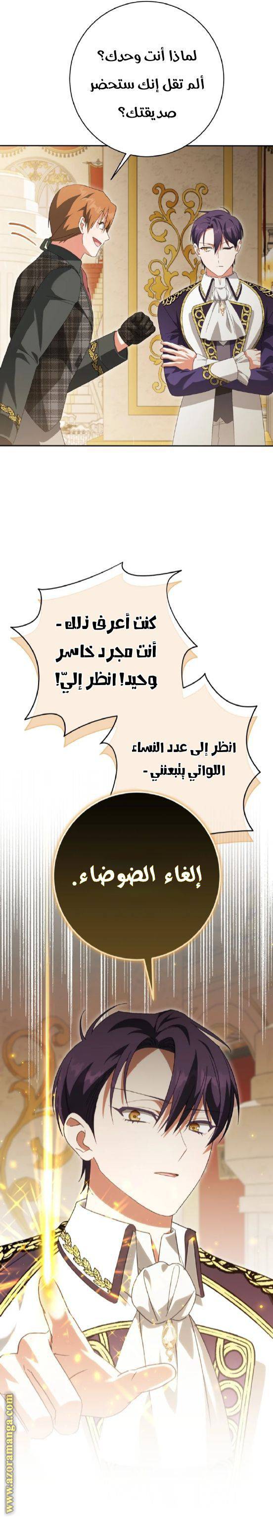 الصفحة 31