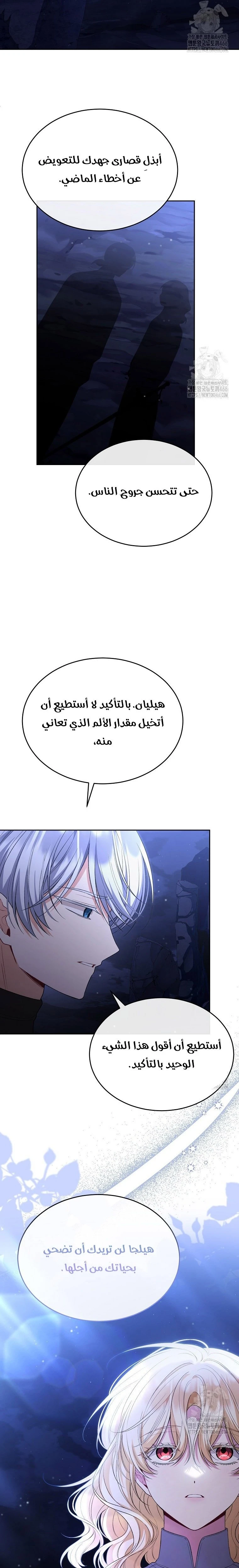 الصفحة 13
