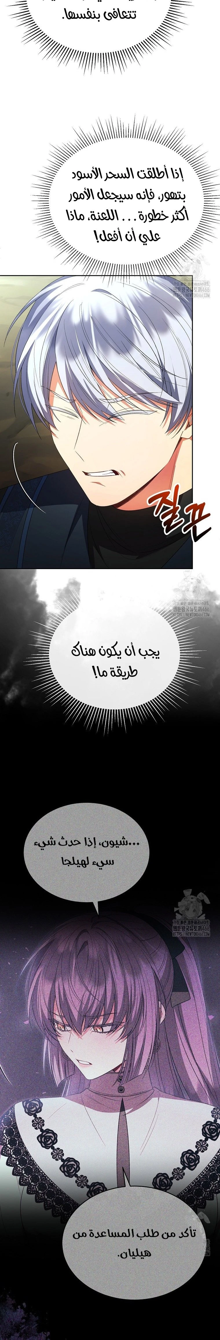 الصفحة 21