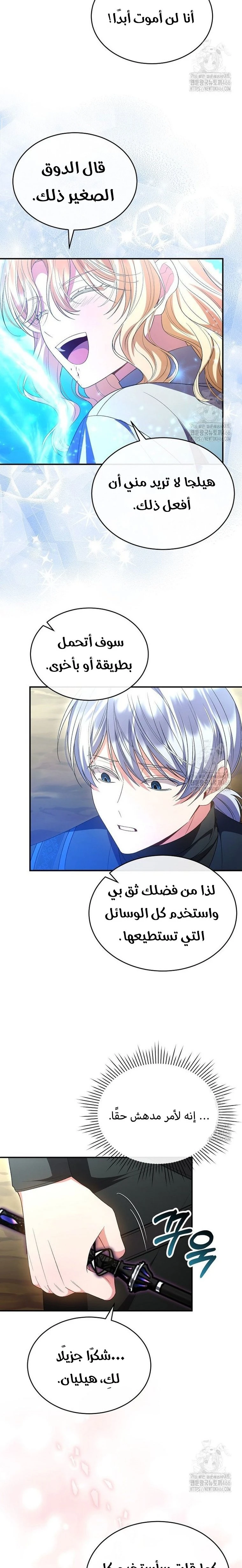 الصفحة 17