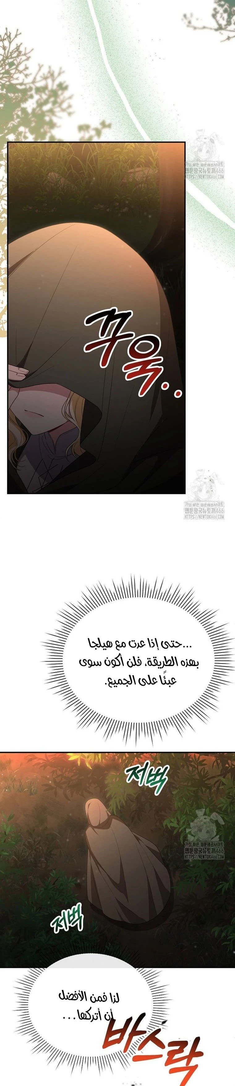 الصفحة 25