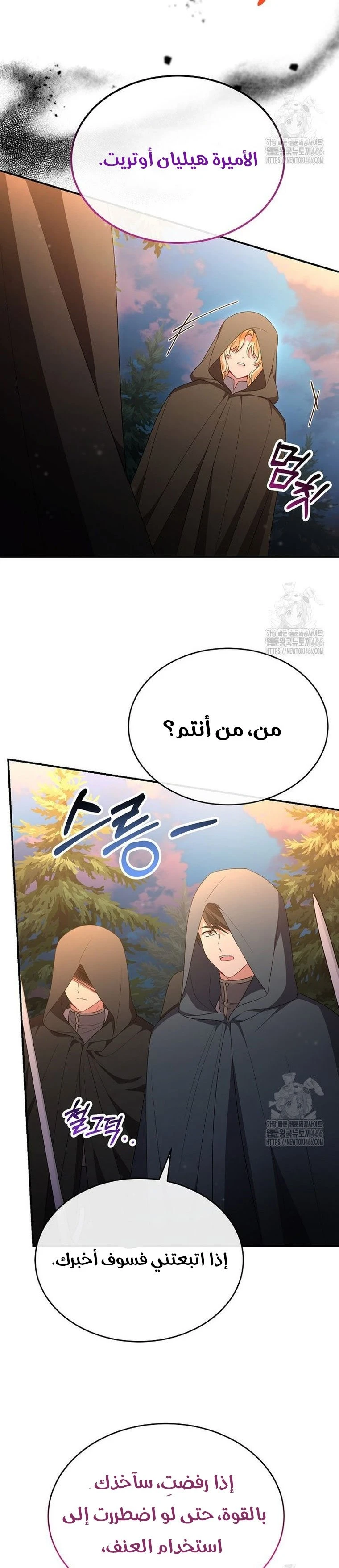 الصفحة 26