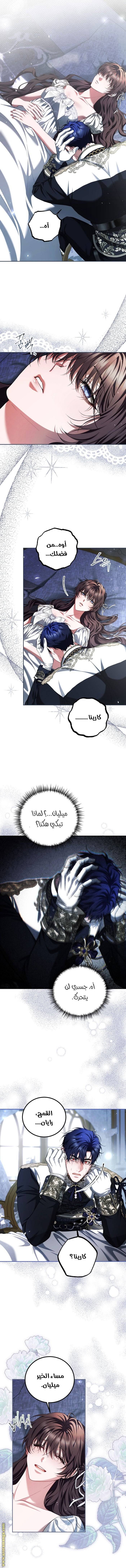 الصفحة 5