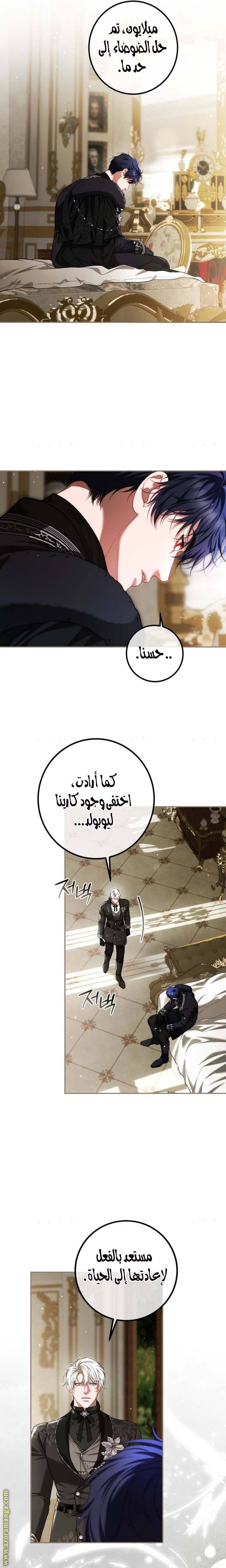 الصفحة 17