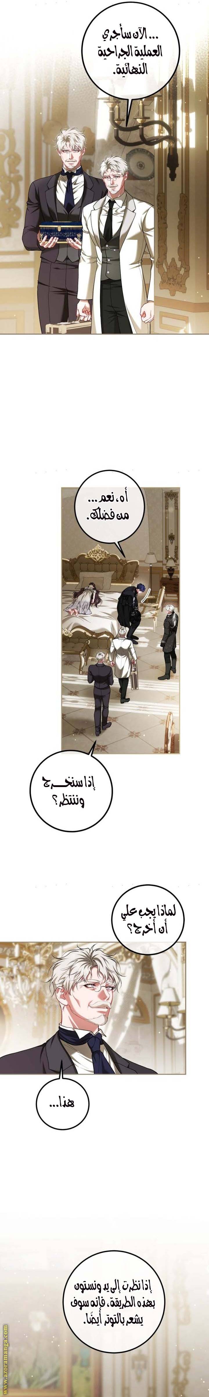 الصفحة 19