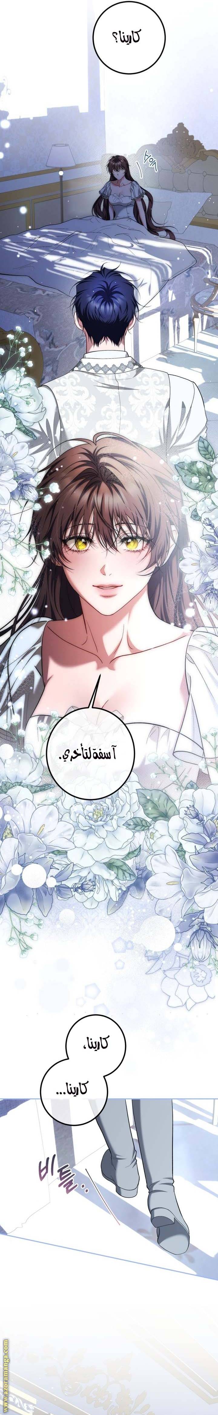 الصفحة 20