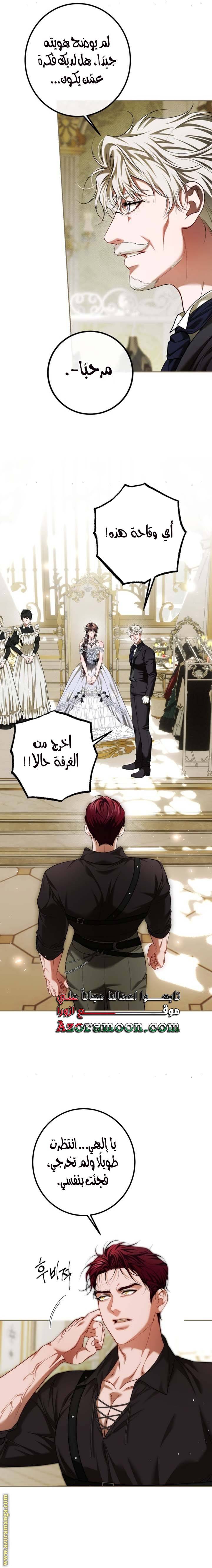 الصفحة 17