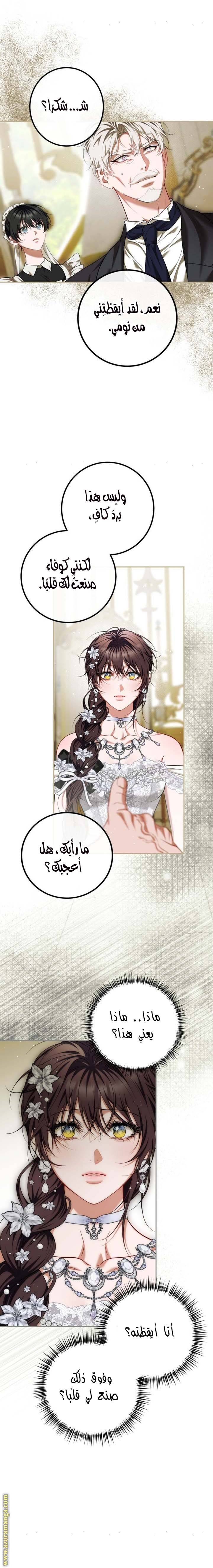 الصفحة 20
