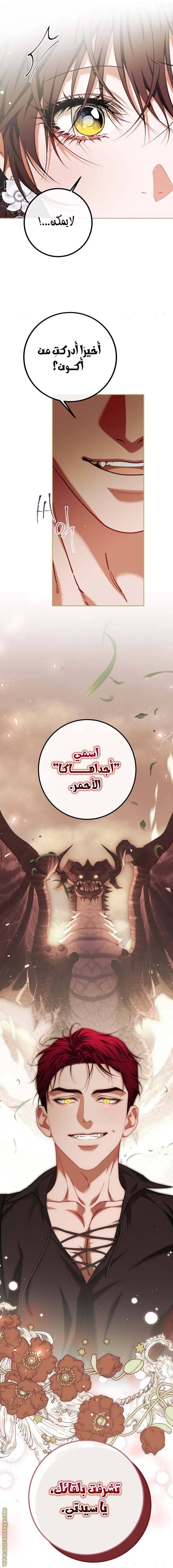 الصفحة 21