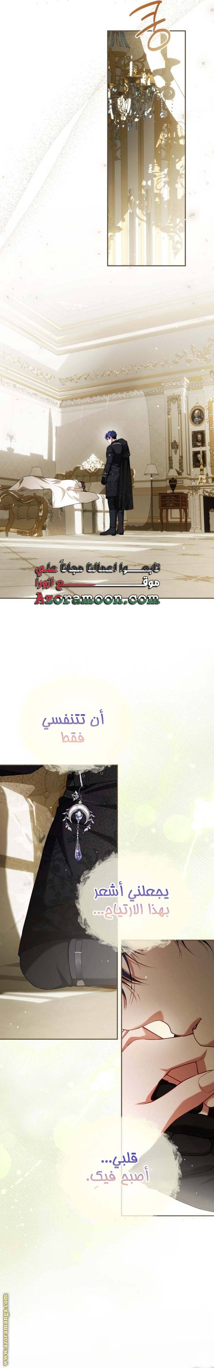 الصفحة 11