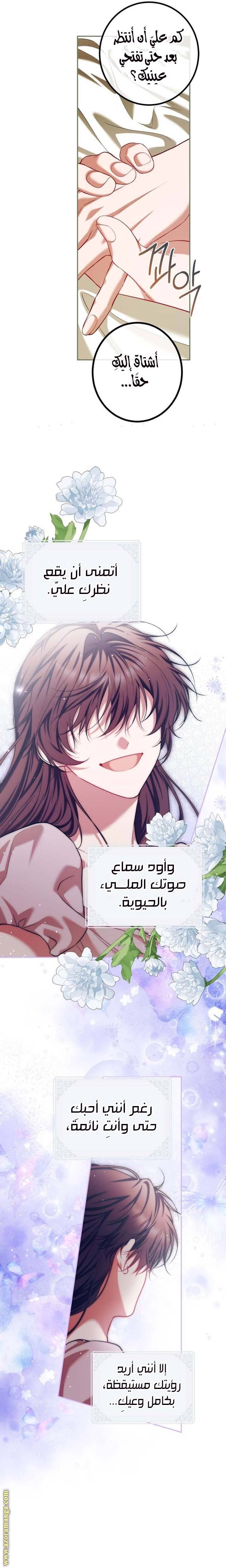 الصفحة 19