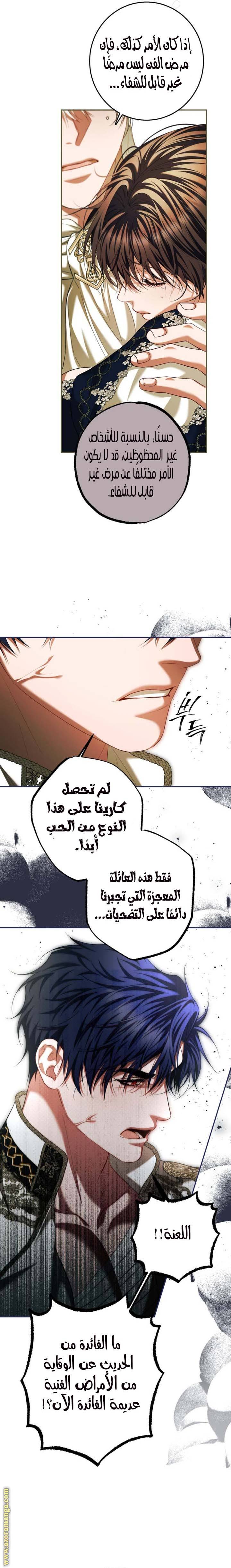 الصفحة 17
