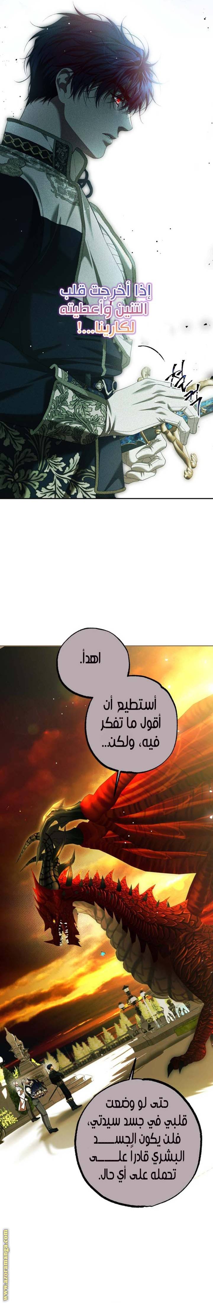 الصفحة 24