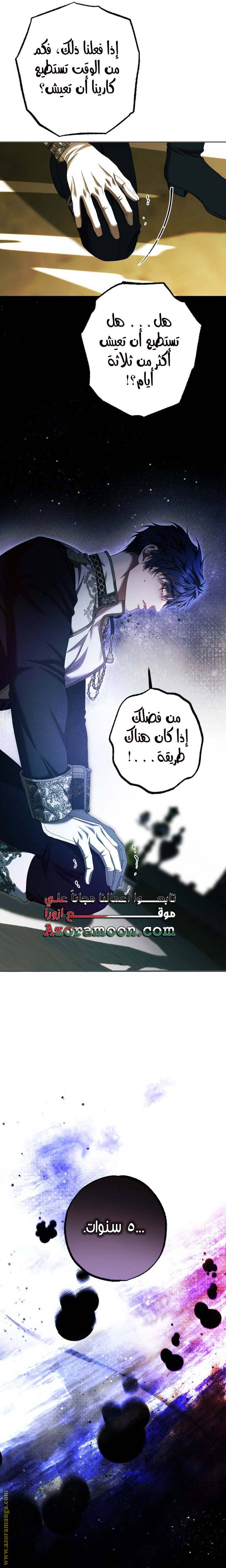 الصفحة 29