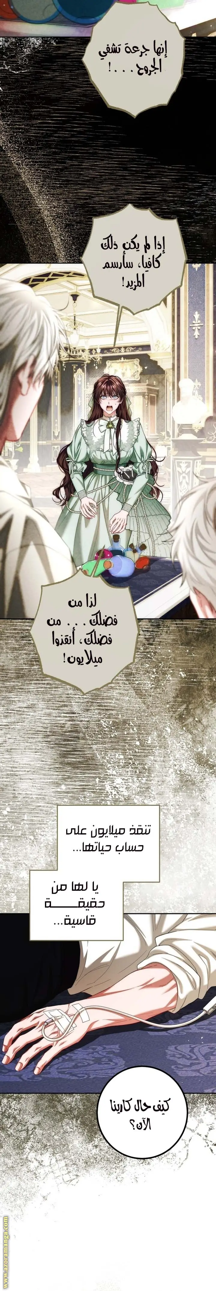 الصفحة 13