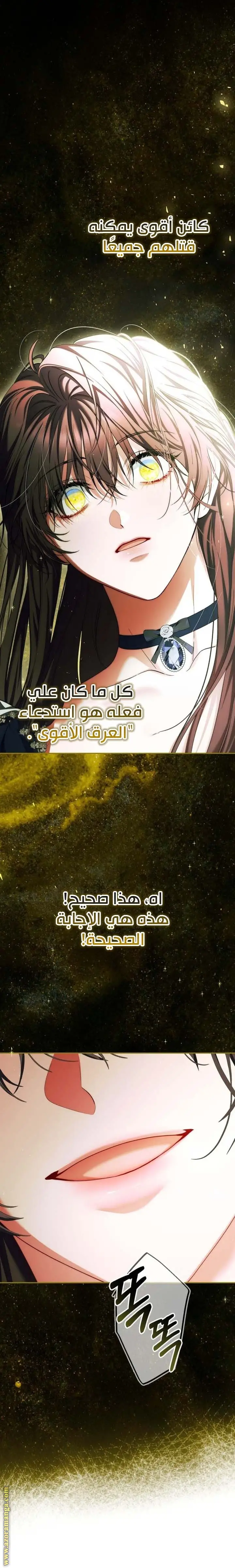 الصفحة 24