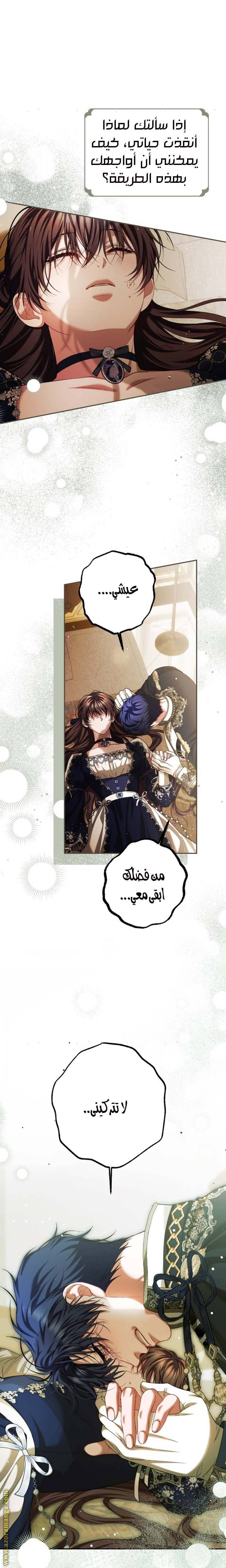 الصفحة 19