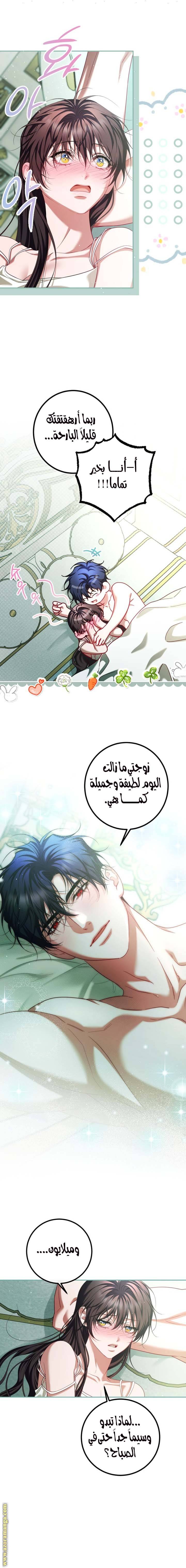 الصفحة 15