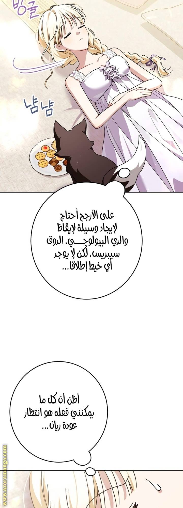 الصفحة 13