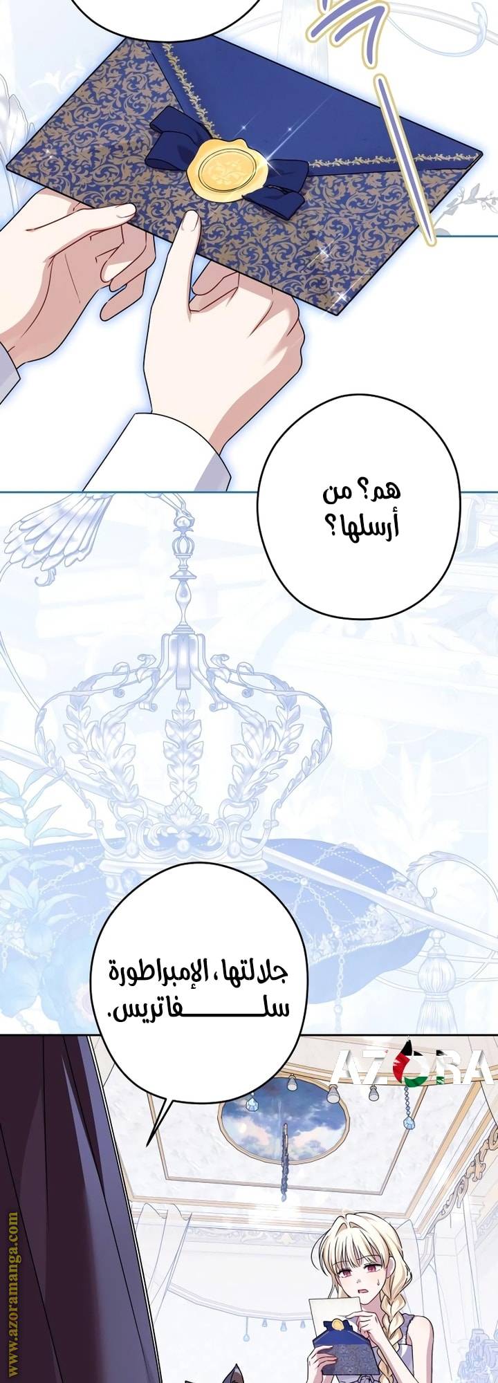 الصفحة 17