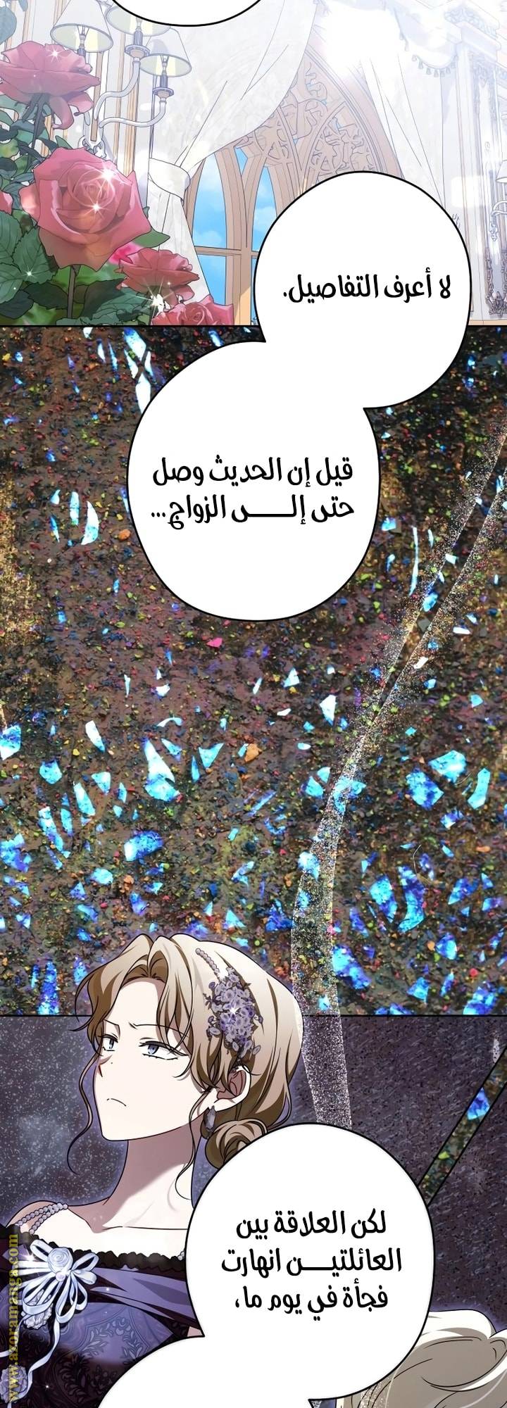 الصفحة 21