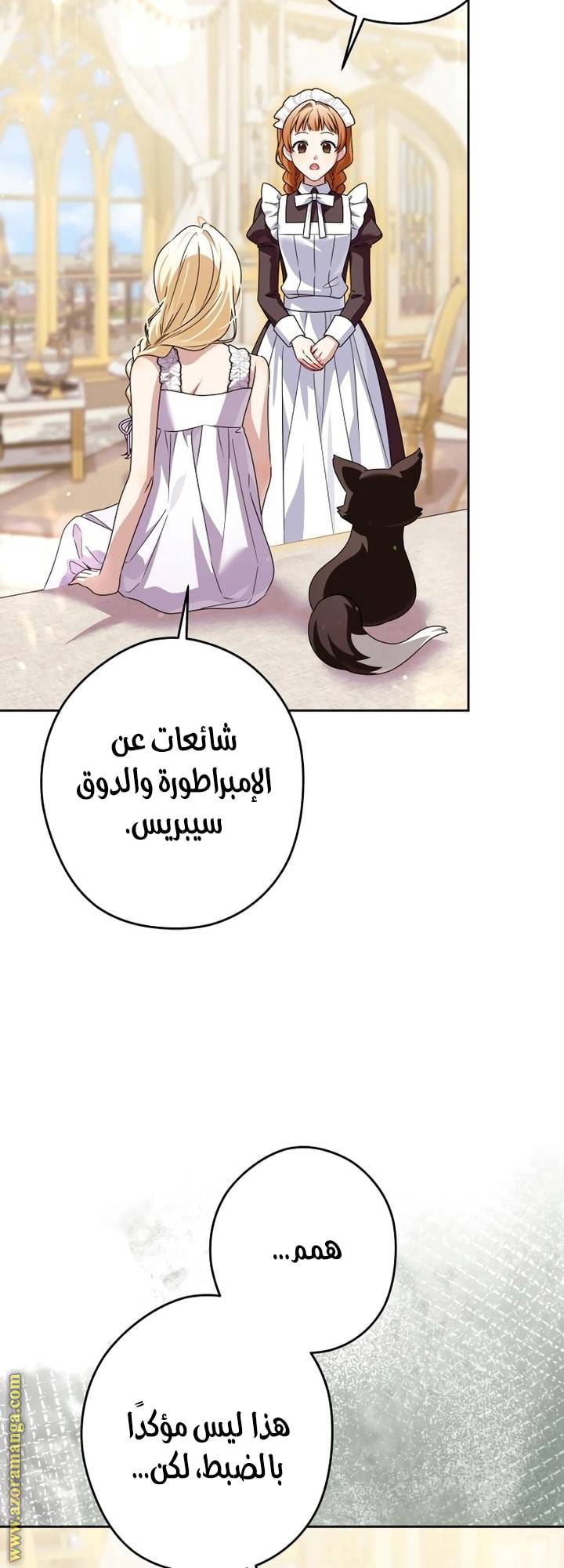 الصفحة 24