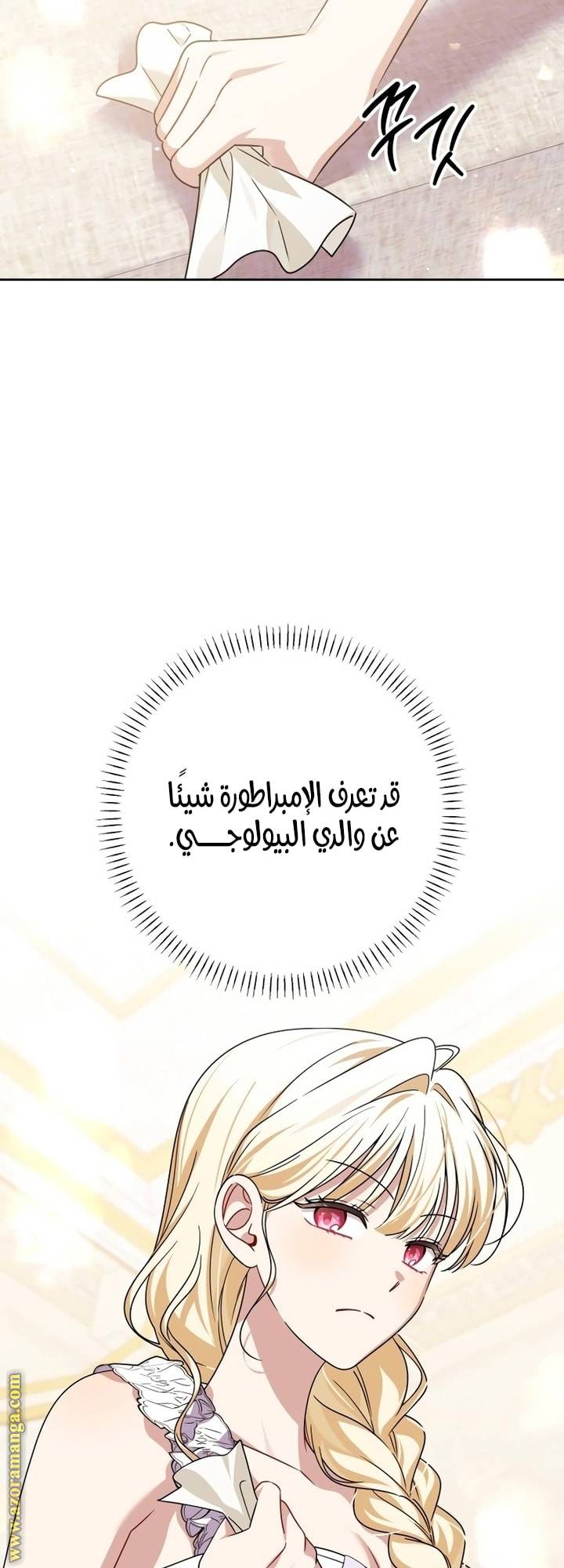 الصفحة 29
