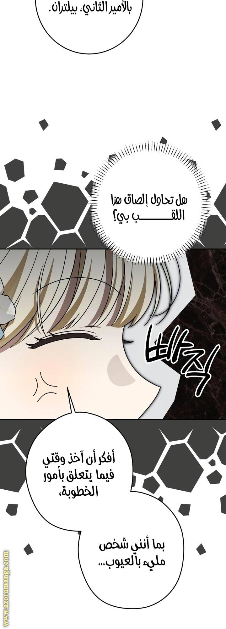 الصفحة 40