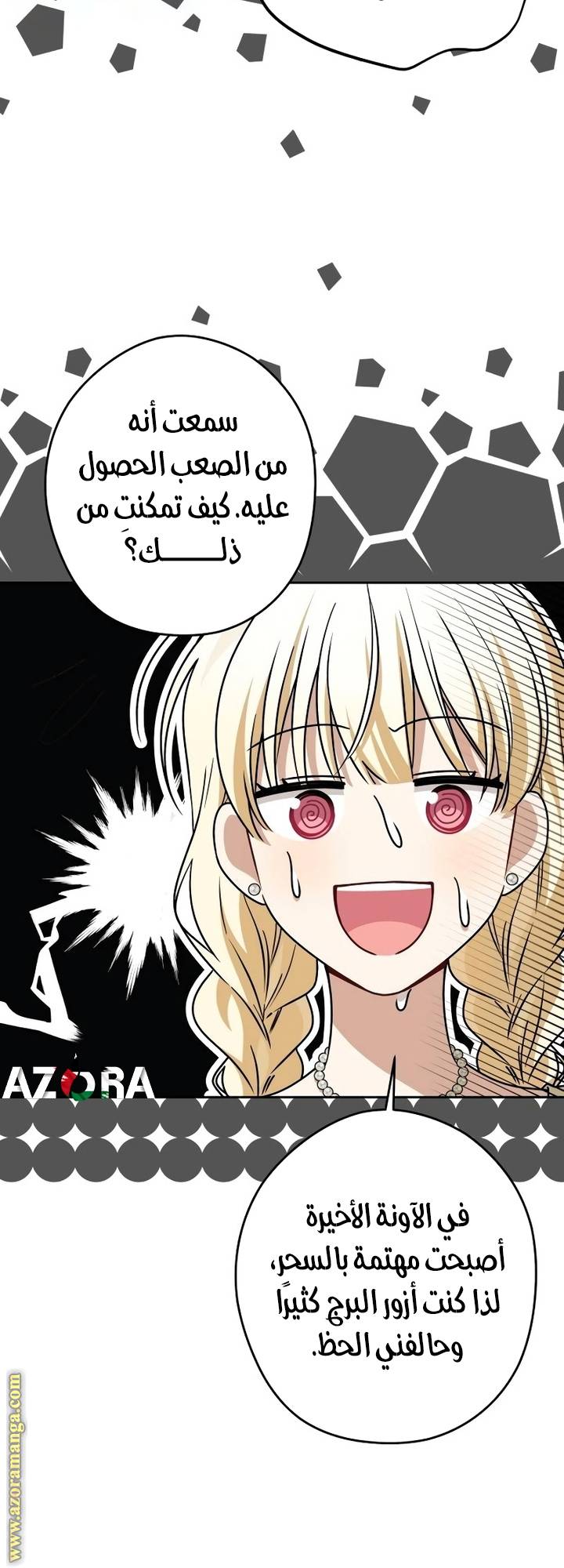 الصفحة 17