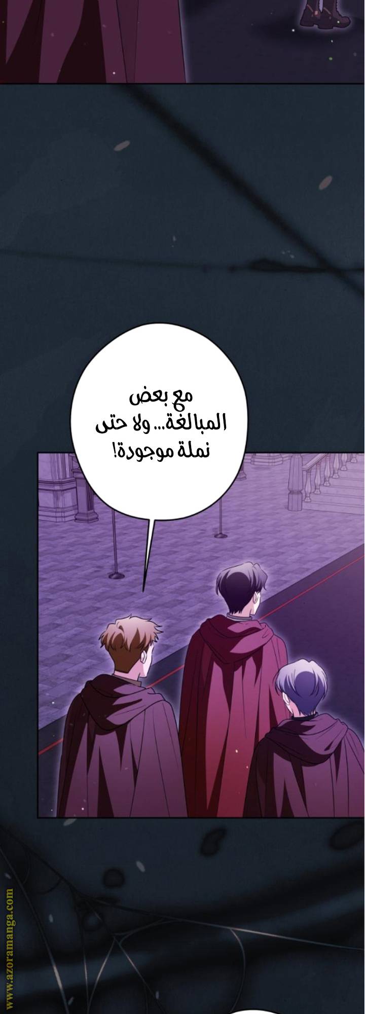 الصفحة 25